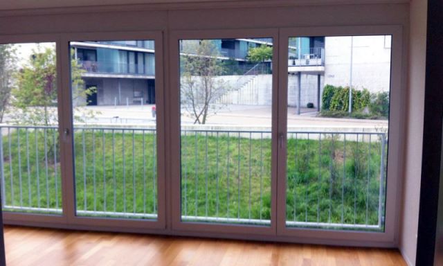 Fensterreinigung, Glasreinigung und Fassadenreinigung für Eschlikon